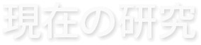 現在の研究